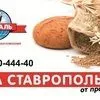 купим Пшеницу 5 кл в Ставрополе и Ставропольском крае